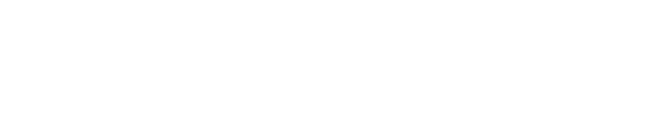MangoDiv LLC